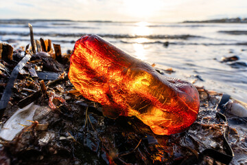 amber on the beach at sunset