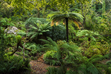 Weg im Parque da Pena, Naturpark Sintra-Cascais, Lissabon, Portugal