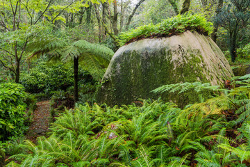 Weg im Parque da Pena, Naturpark Sintra-Cascais, Lissabon, Portugal