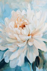 Obraz premium Elegant white hibiscus flower with soft blue background and delicate petals displayed prominently