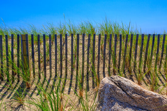 dune fencing to control wind erosion and encourage dune stability .