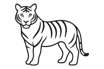 Illustration of a tiger Vector