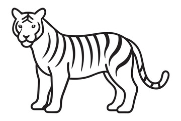Illustration of a tiger Vector