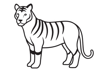 Illustration of a tiger Vector