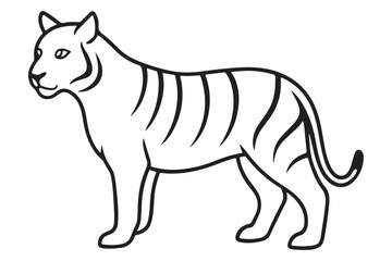 Illustration of a tiger Vector