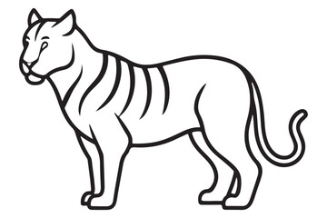 Illustration of a tiger Vector