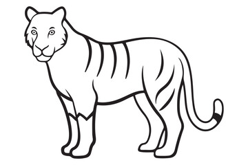 Illustration of a tiger Vector