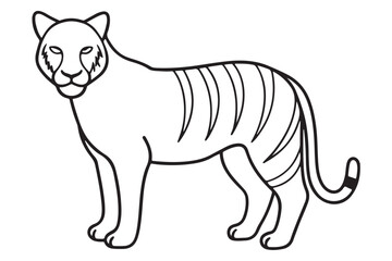 Illustration of a tiger Vector