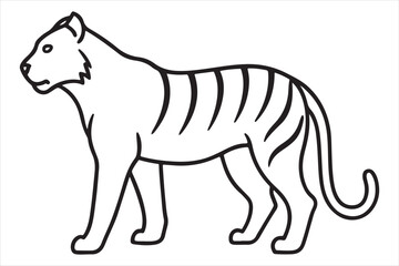 Obraz premium Illustration of a tiger Vector
