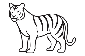 Illustration of a tiger Vector