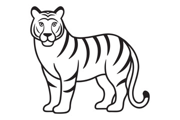 Illustration of a tiger Vector