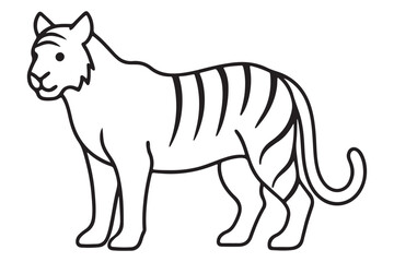 Illustration of a tiger Vector