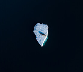 A lonely iceberg seen from a bird's eye view © Bartomiej
