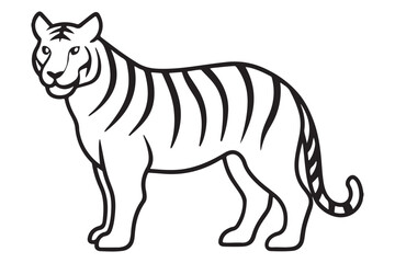 Illustration of a tiger Vector