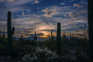 A tranquil desert landscape with saguaro cacti silhouetted against a colorful sunrise, featuring dramatic clouds and rugged scenery, capturing the serene beauty of nature in arid regions.
