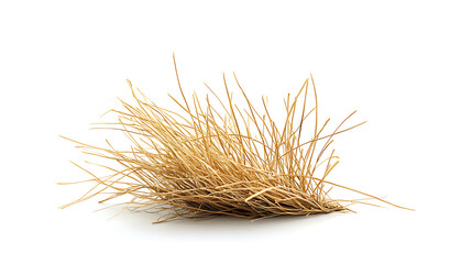 One single tumbleweed isolated on white background