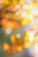 かえでの紅葉のぼかし