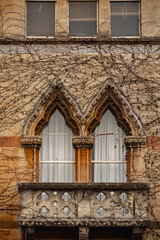 Facade of a British building in Oxford with climbing plant without leaves