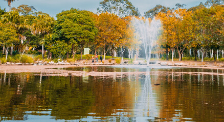 Located within Nurragingy Reserve, Doonside, this exquisite garden was cooperatively designed and...