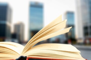 Set of reading book in front of window at home