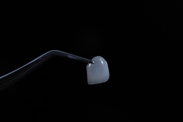 E-Max laminate veneers held with a plier called Presel used in dental dentistry. Dental veneers porcelain dental crowns.  © UniqDream