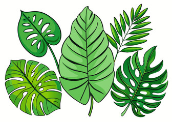 Fototapeta premium Exotic Bird of Paradise Flower with Tropical Colors