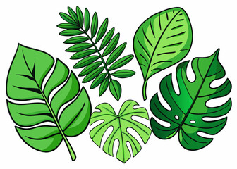 Large Banana Leaf with Prominent Veins and Texture