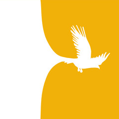 A collection of avian silhouettes, including the distinctive Pyrrhocorax graculus, showcases the beauty of birds in flight