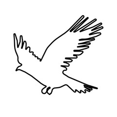 The Alpine Chough is a mountain bird renowned for its adaptability, commonly seen in high altitudes, demonstrating both intelligence and agility.