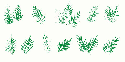Natural leaves imprint, Grunge style, Vector, Isolated, Decorative elements for design