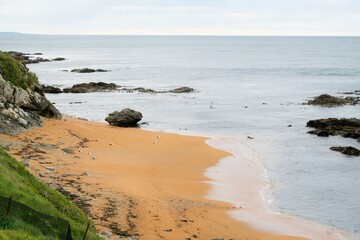 Waves Hitting the Rugged Beach at Shag Point, Wild Coastal Landscape
