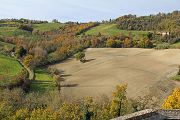 autunno sulle colline presso Torrechiara (Parma)
