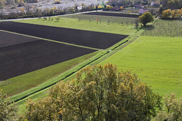geometria di campi presso Torrechiara (Parma)