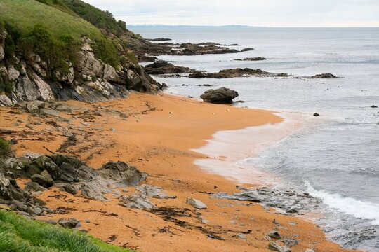 Waves Hitting the Rugged Beach at Shag Point, Wild Coastal Landscape