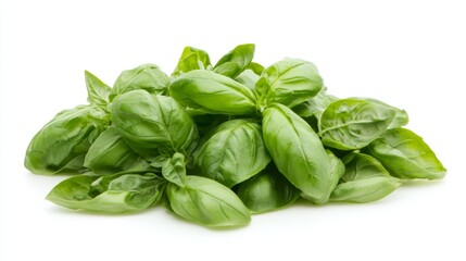 Fototapeta premium A photograph of fresh basil leaves, isolated on a white background with no shadows or reflections. The focus is sharp, and the lighting is bright, highlighting the vibrant green color. A soft shadow i