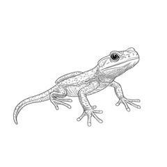 Naklejka premium Detailed line drawing of a lizard.