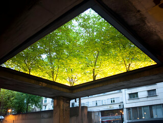 Overhead view of a square skylight reflecting lush green trees against a city backdrop.