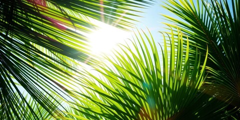 Lush green tropical palm leaves with vibrant colors, suitable for wallpaper, background, or tropical theme website, vibrant, sunlit, tropical leaves