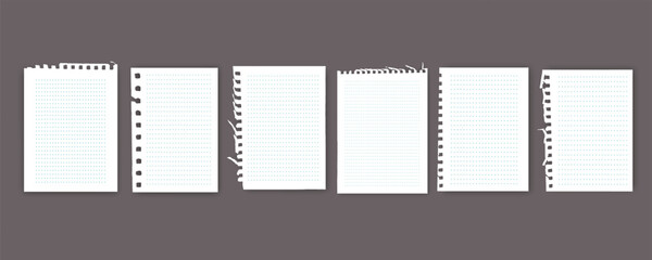 Notebook or book page, Sheets from notebook, Vector illustration