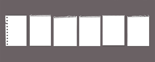 Notebook or book page, Sheets from notebook, Vector illustration