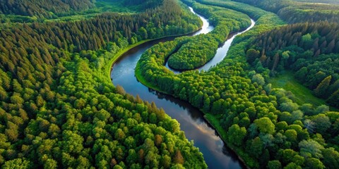 Aerial view of a winding river snaking through a dense forest , forest, river, aerial view, landscape, nature, water