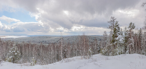 Beautiful panorama winter landscape snow-covered trees illuminated by the sun against sky.