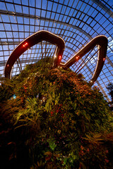 Gardens by the Bay Singapur