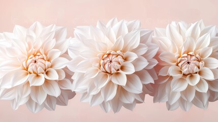 Intricate dahlia floral pattern, gentle pastel hues, seamless background with space for text, romantic and timeless for greeting cards
