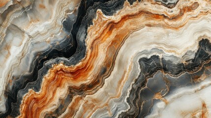 petrified wood rock