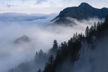 A mountain range covered in fog