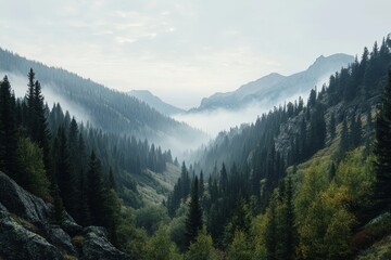 A mountain range with a forest in the foreground