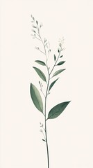 Fototapeta premium Delicate Green Plant With Small White Flowers