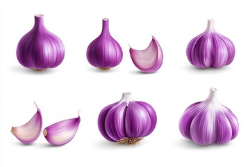 Various purple garlic bulbs and cloves on white background