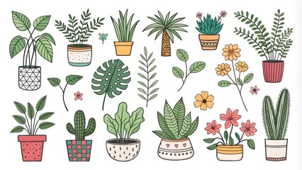 set of flowers in pots